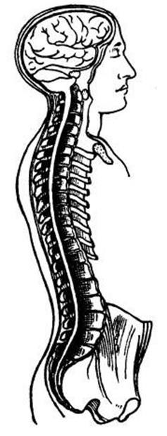 Kundalini Yoga Theory