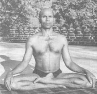 Yoga Asanas